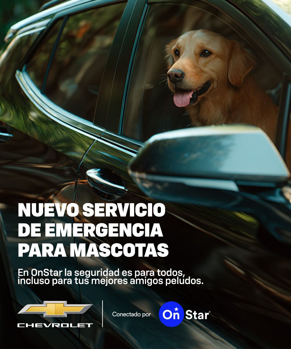 seguridad pata todos